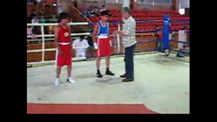 bobi(boxing) 