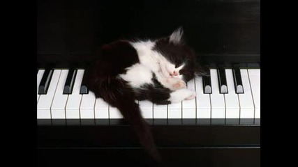 ~~сладки котета~~