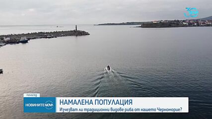 Под 3% от улова на риба в Черно море е за България и Румъния
