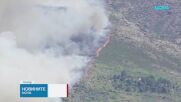 Горски пожари бушуваха във Франция и Испания