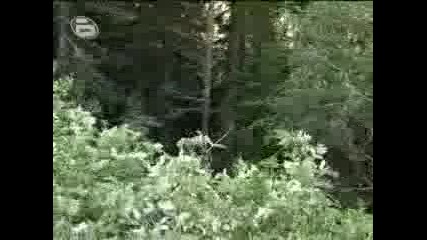 Crash site rally Bulgaria 09 