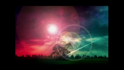 Catch A Falling Star - Nina Wall 