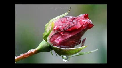 Richard Anthony - Aranjuez, Mon Amour 