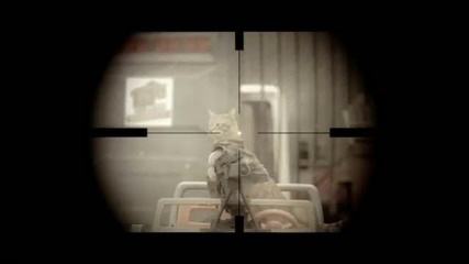Medal of Honor котка смехурия :)