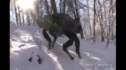 Какво е това ?!