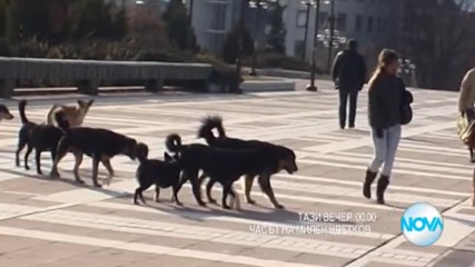 В "Часът на Милен Цветков" на 28 март очаквайте
