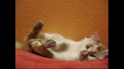 Кузя - Беспредельщик.flv
