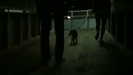 Nothing's Carved In Stone - Cold Reason