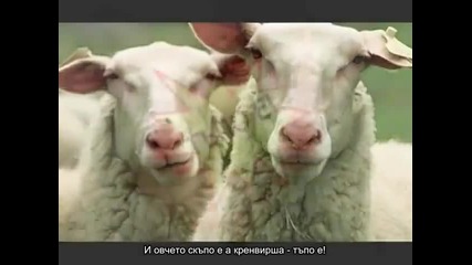 20 тенджери с боб представят Песен за кризата