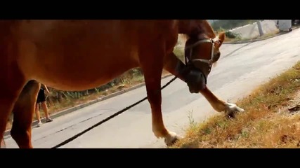 Конса - Гамба (official video)