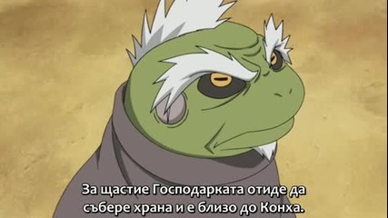 Naruto Shippuuden - 162 [bg sub.] (hd)