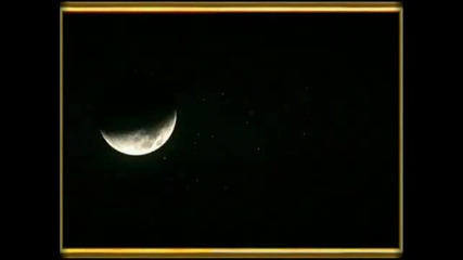 Dream of Love 