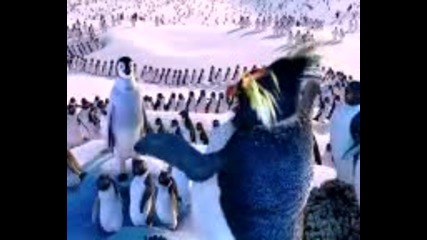 яко клип4е с пингвини