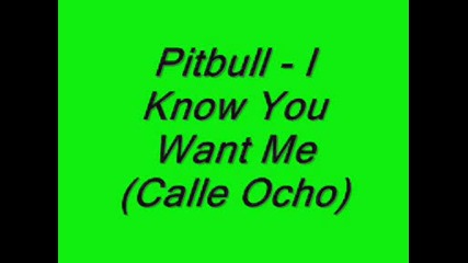 Pitbull - I Know You Want Me (calle Ocho)