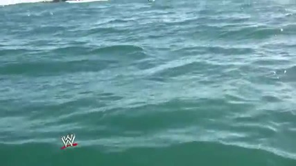 Wwe Superstars go shark diving with Great Whites!