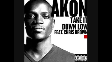 Akon ft. Chris Brown - Take It Down Low