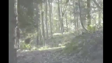 mountain bike freeride film 