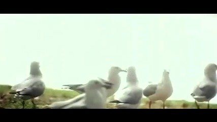 Koi Aap Sa 1 