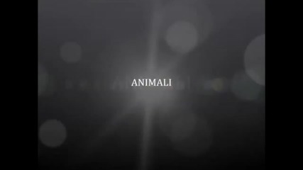 Tarantella moderna - Gigi Botto - Animali