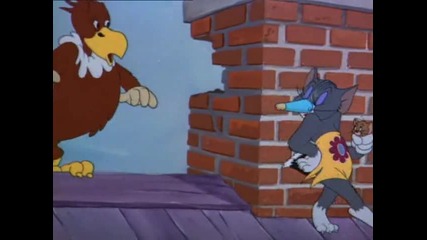 Tom and Jerry - Flirty Birdy 