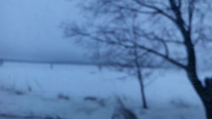 Vid_20170116_бели полета22