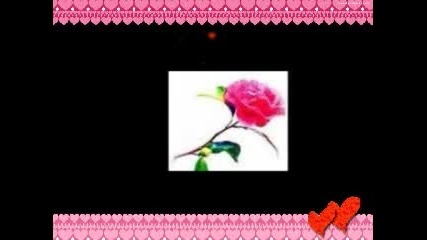 Soyle 