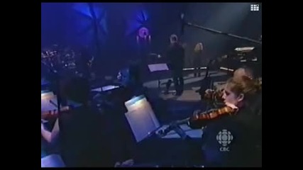 You #39;re not From here
