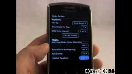 Blackberry Storm