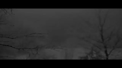 Pavell - Den za Den