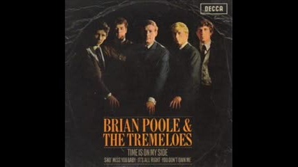 Brian Poole & The Tremeloes - You Don't Own Me