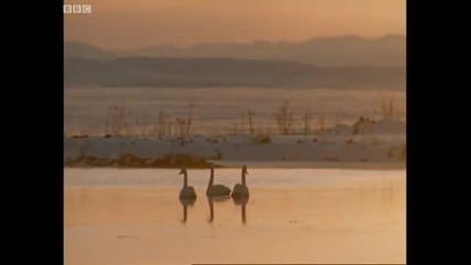 Thermal waters of Iceland - Shadows of the Sun - Bbc 