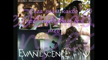 Evanescence - Bring Me To Life(BG sub)