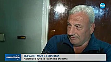 Новините на NOVA (05.10.2017 - централна емисия)