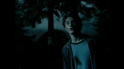 Harry Potter - My Heart Will Go On