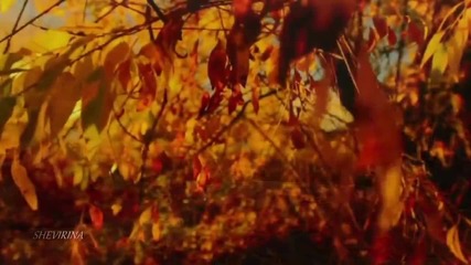 Мелодия души (mehdi - Falling Leaves)
