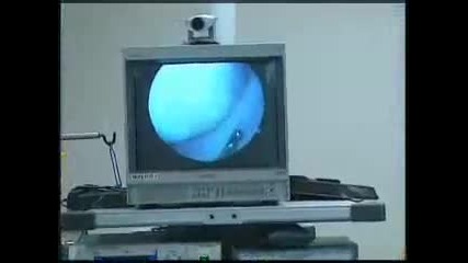 Shawn Michaels 2004 surgery 