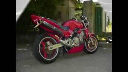 Hornet 2009 