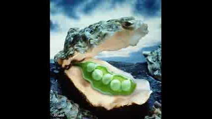 New !!! Hybrid Animals And Plants