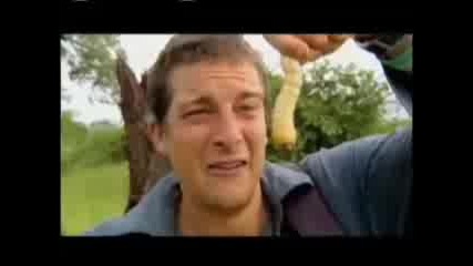 Man vs. Wild Eating Giant Larva