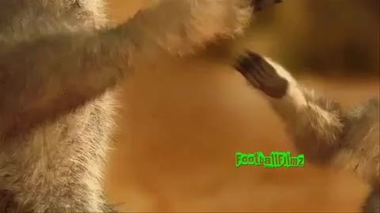 Lionel Messi- смешна реклама