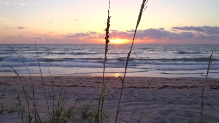 Tab Benoit- Sunrise