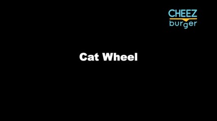 Cheezburger Cat Wheel