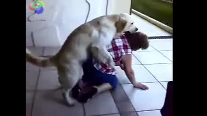 Кучето си хареса бабата