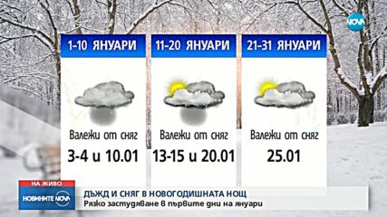 Какво време ни очаква през януари?