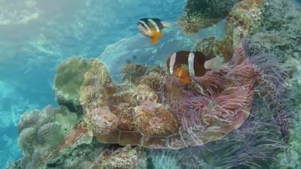 Острови Rinca и море Flores