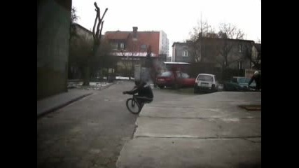 Pisanka Vid BT 8.0