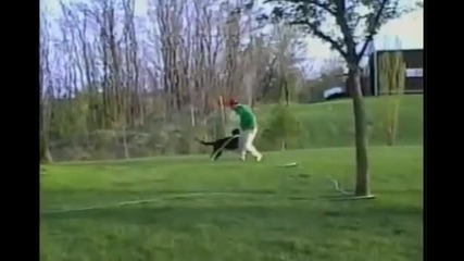 Fail Compilation 2012
