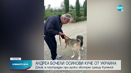 Андреа Бочели осинови куче, спасено в Украйна