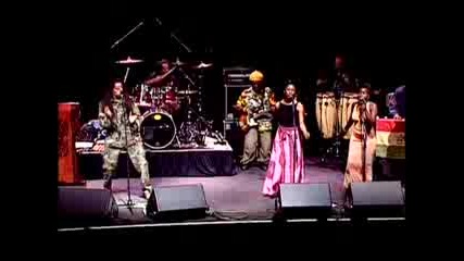 The Wailers - Sun Is Shining (live 2002)