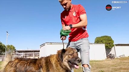 Благотворителни каузи и закачки с ЦСКА и Хебър преди мача помежду им